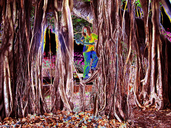 Charlie in Banyan